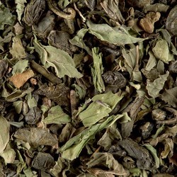 thé vert à la menthe MINTY TEA